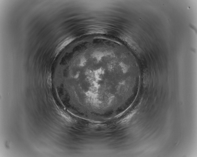 X0000098221113200804241337