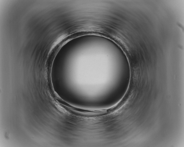 X0000098221114200804241337