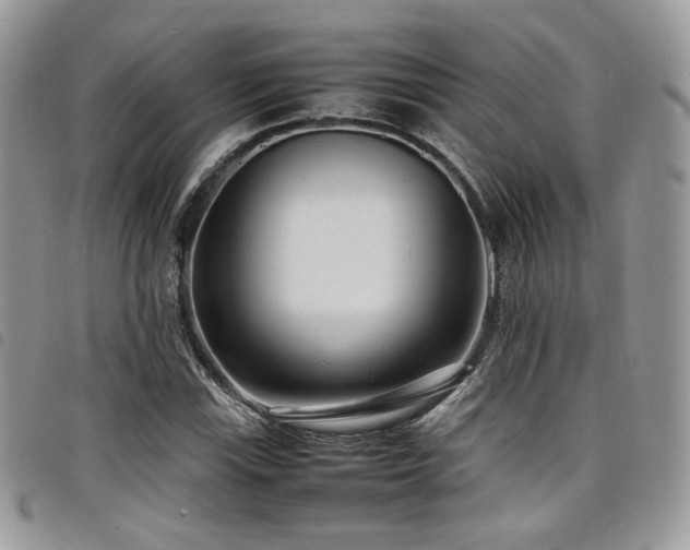 X0000098221115200804241337