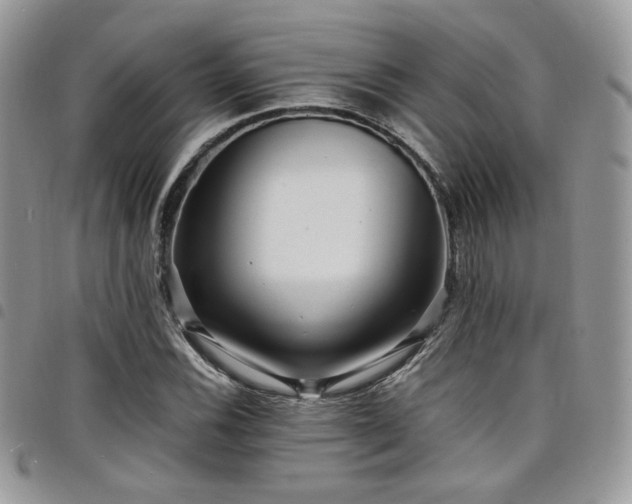 X0000098221116200804241338