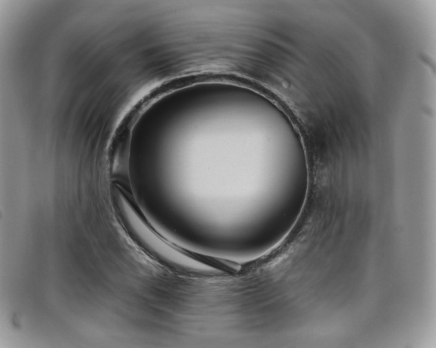 X0000098221118200804241338