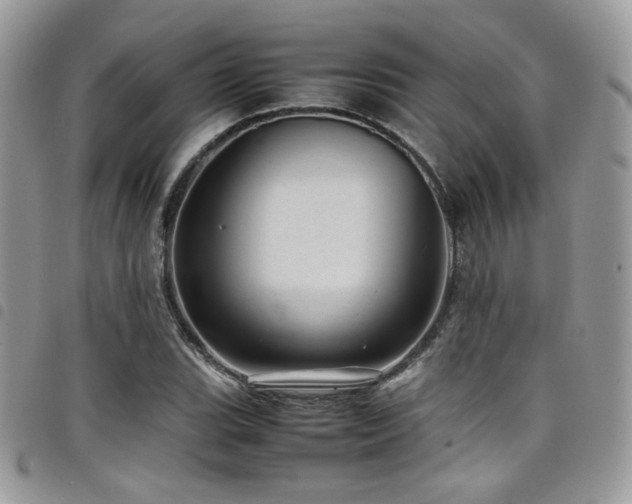 X0000098221119200804241338