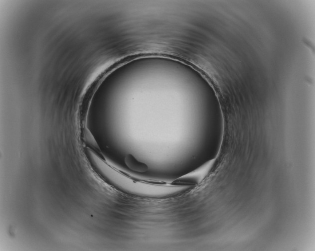 X0000098221120200804241338