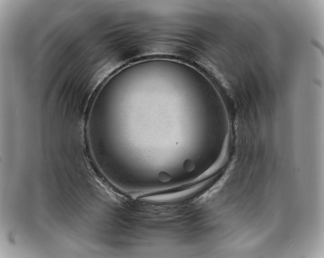 X0000098221121200804241338
