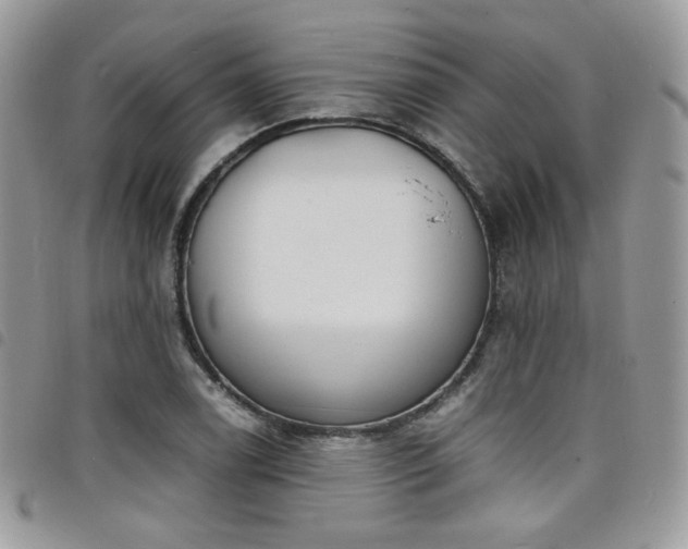 X0000098221122200804241338