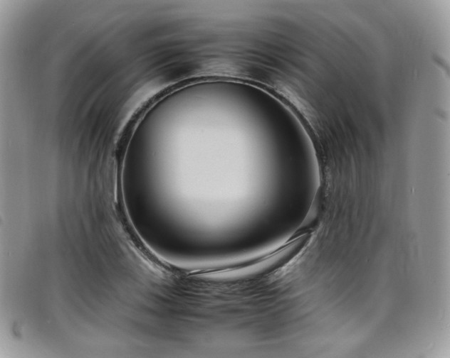 X0000098221123200804241338