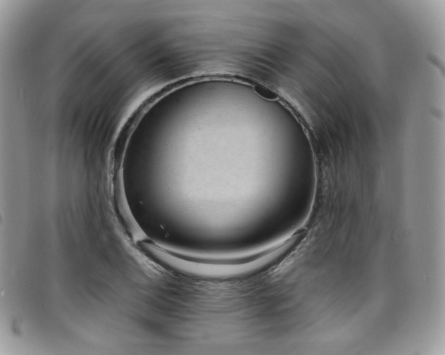 X0000098221124200804241338