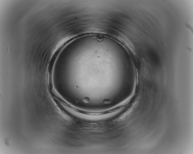 X0000098221125200804241338