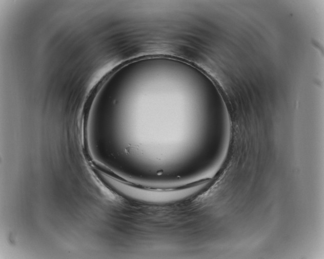 X0000098221127200804241338