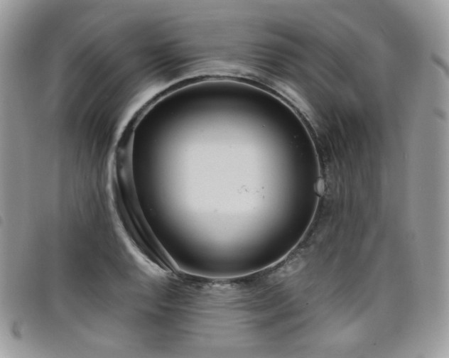 X0000098221128200804241338