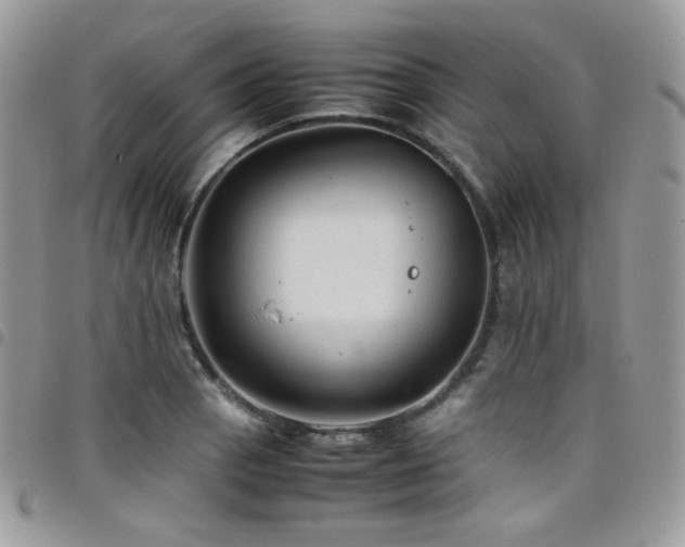 X0000098221129200804241338