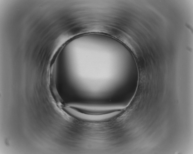 X0000098221132200804241338