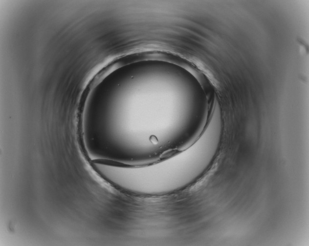 X0000098221134200804241338