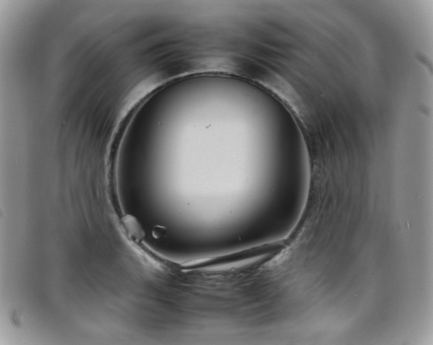X0000098221135200804241338