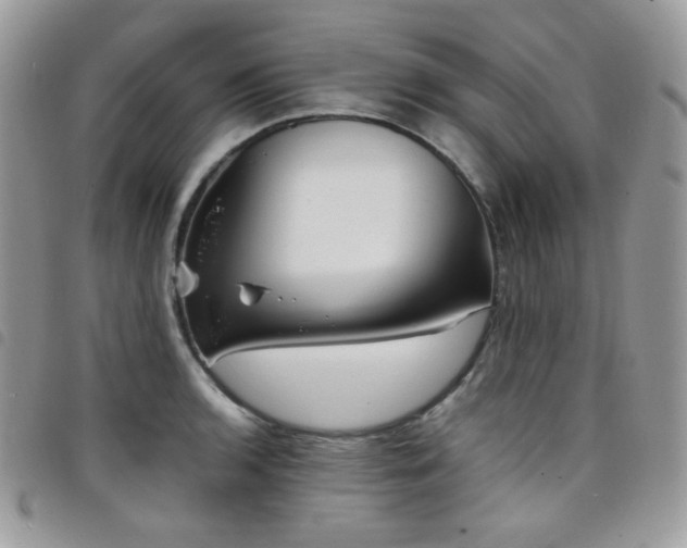 X0000098221136200804241338