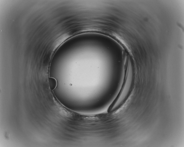 X0000098221137200804241338