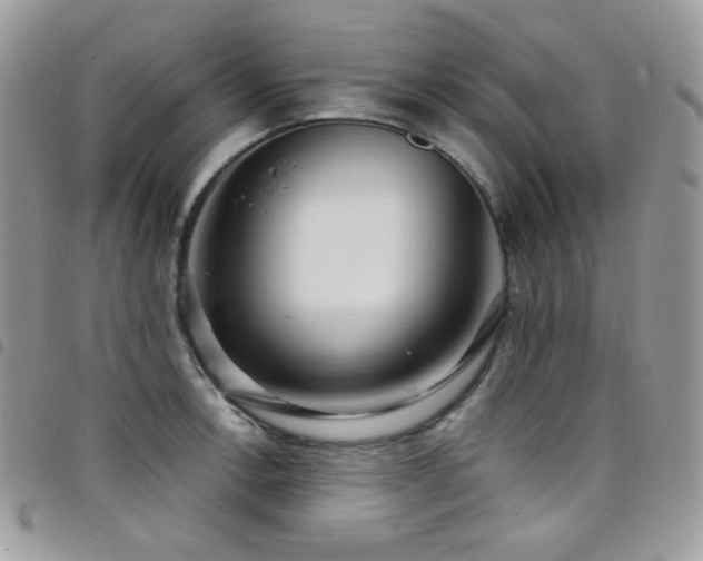 X0000098221138200804241338