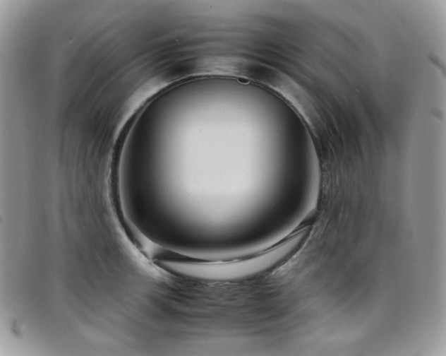 X0000098221139200804241338