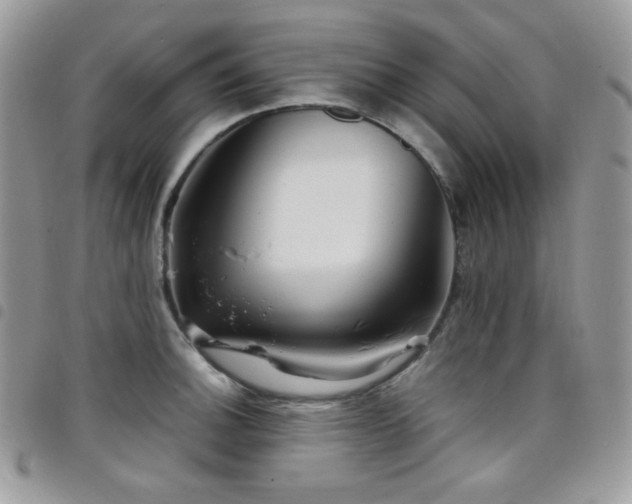 X0000098221140200804241338