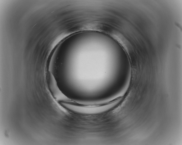 X0000098221141200804241338