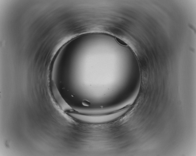 X0000098221142200804241338