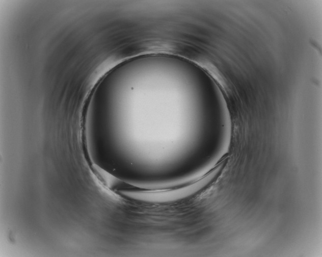 X0000098221143200804241338