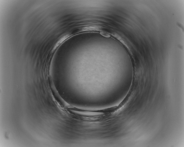 X0000098221145200804241338