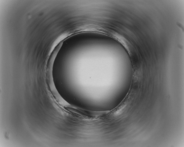 X0000098221146200804241338