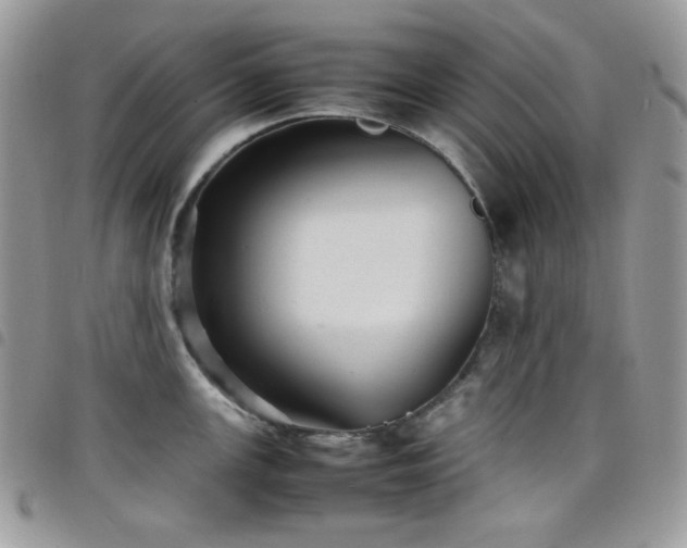 X0000098221147200804241338