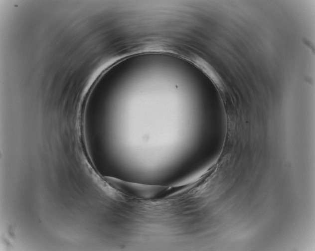 X0000098221148200804241338