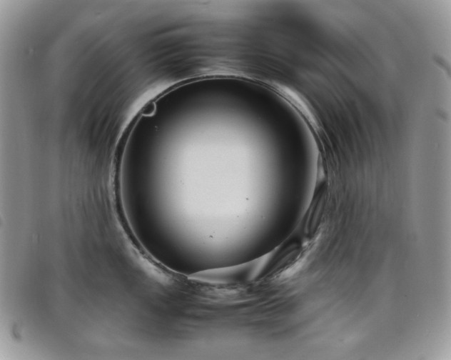 X0000098221149200804241338