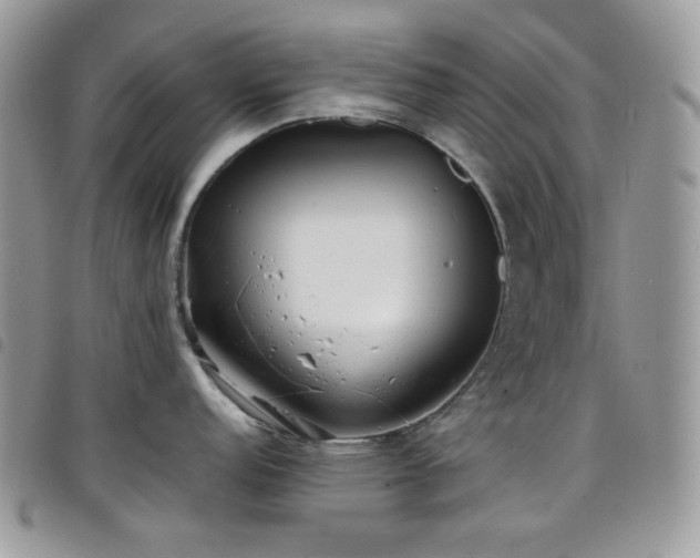 X0000098221152200804241338