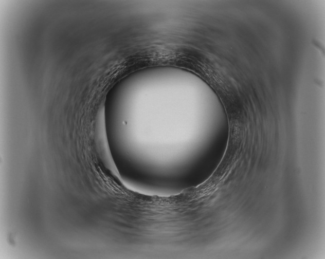 X0000098221153200804241337