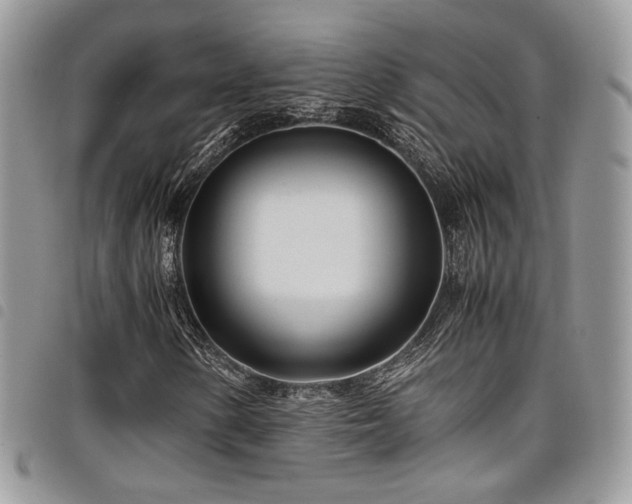 X0000098221154200804241337