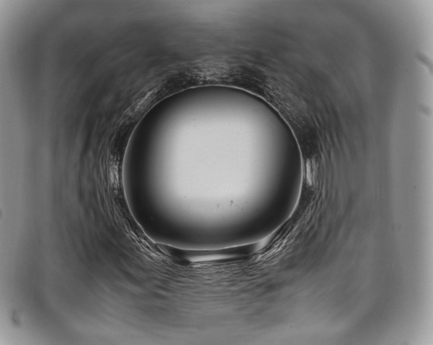X0000098221155200804241337