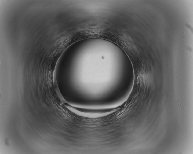 X0000098221156200804241337