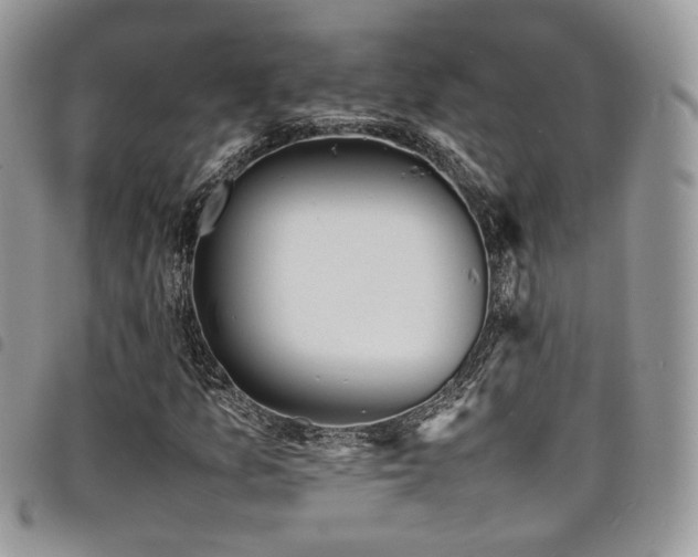 X0000098221157200804241337