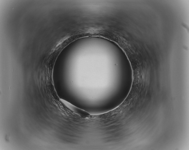 X0000098221158200804241337