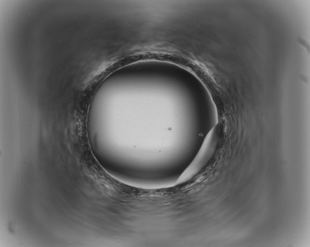 X0000098221159200804241337