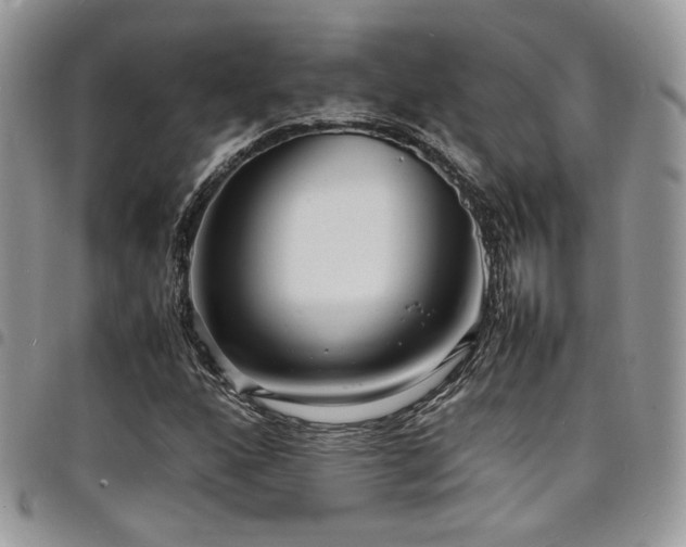 X0000098221160200804241337