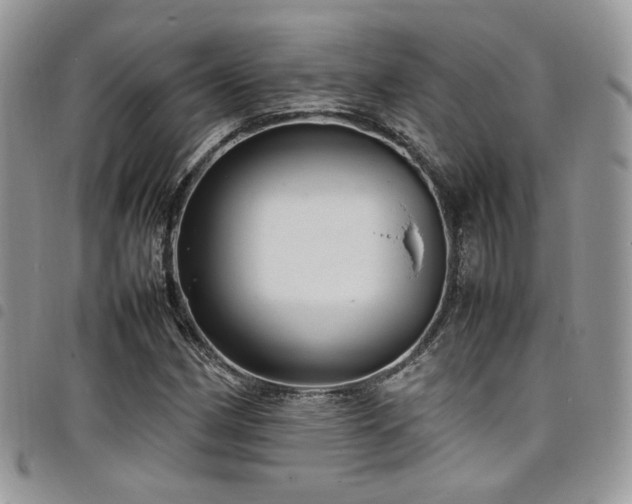 X0000098221162200804241337