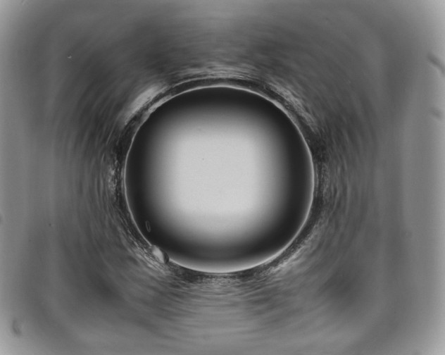 X0000098221163200804241337