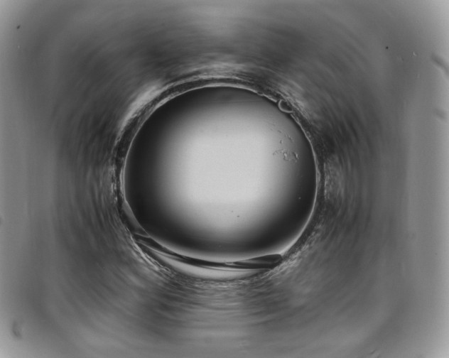 X0000098221164200804241337