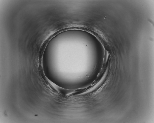 X0000098221165200804241337