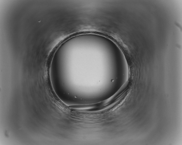 X0000098221167200804241337