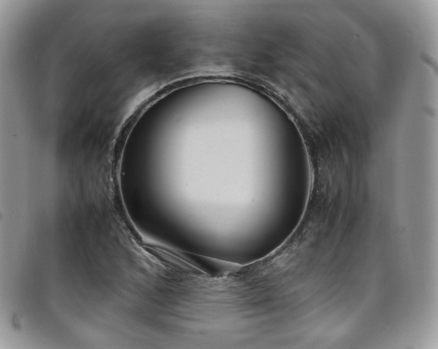X0000098221168200804241337