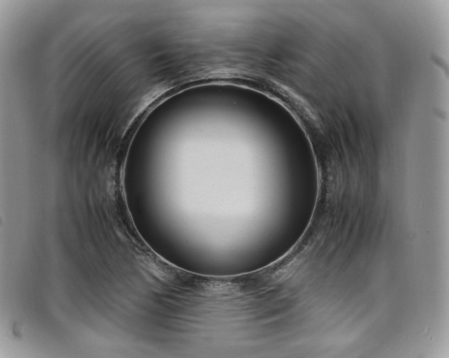 X0000098221170200804241337