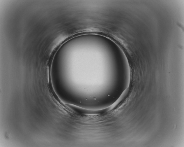 X0000098221171200804241337