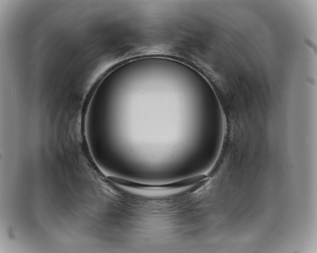 X0000098221174200804241337