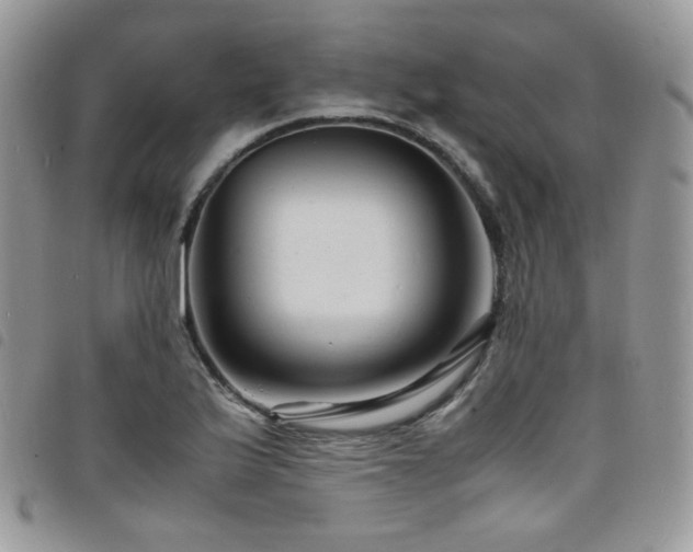 X0000098221175200804241337